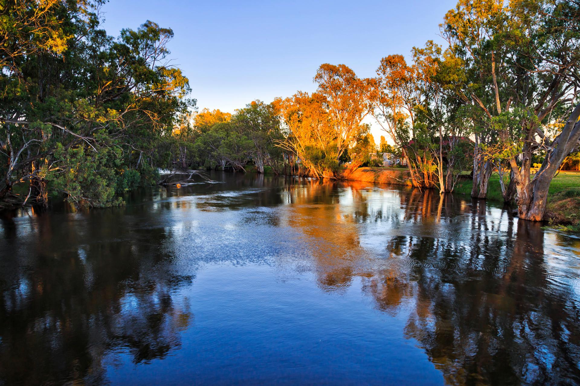 Murrumbidgee River lined with gum trees